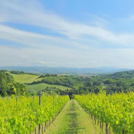 Gorgeous With Pool Near Sibillini Mountains * Monte San Martino