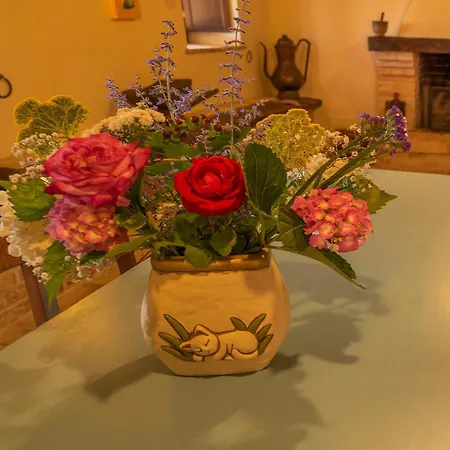 Gorgeous With Pool Near Sibillini Mountains